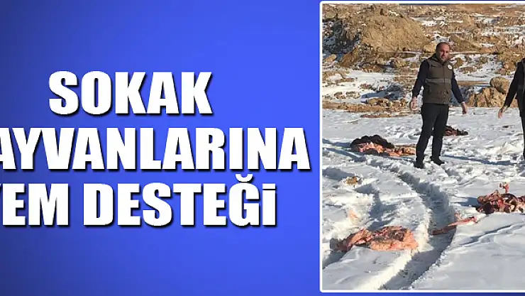 Van'da sokak hayvanlarına yem desteği