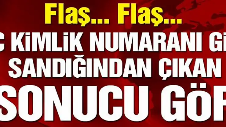 Sandığımda hangi partiye kaç oy çıktı? Sandık sorgulama