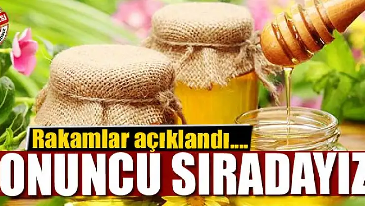 Van onuncu sırada