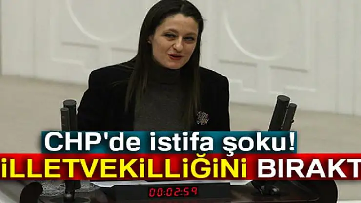 CHP'li Şafak Pavey milletvekilliğinden istifa etti