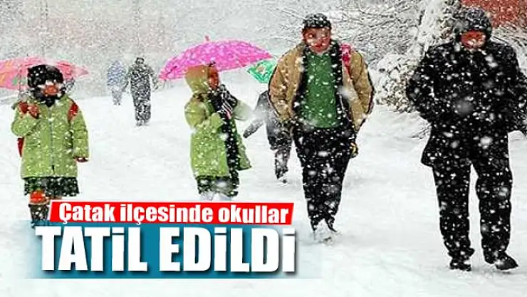 Çatak'ta kar tatili