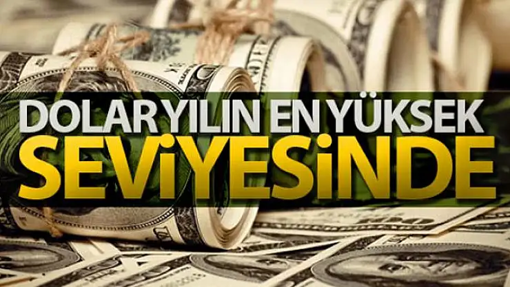 Dolar yılın en yüksek seviyesinde