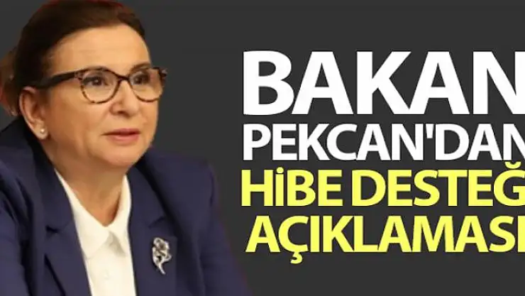 Bakan Pekcan'dan hibe desteği açıklaması