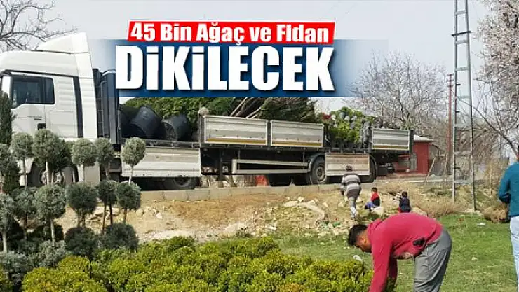 Edremit'e 45 bin ağaç ve fidan dikilecek