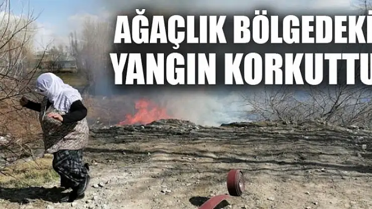 Ağaçlık bölgede korkutan yangın