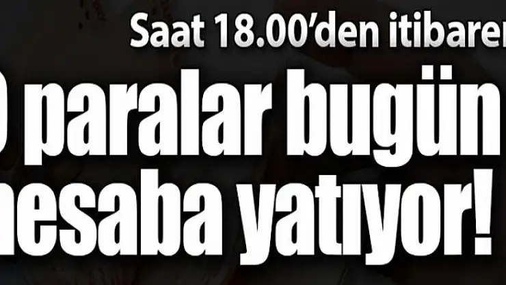 Mazot ve gübre destek ödemeleri başlıyor!