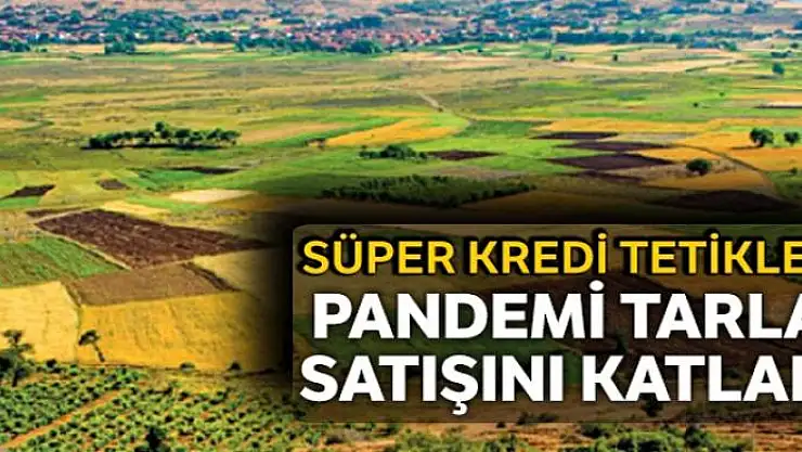 Tarla satışı tavan yaptı