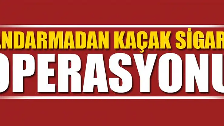 Jandarmadan kaçak sigara operasyonu
