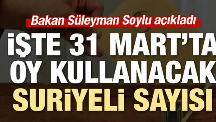 Bakan, oy kullanacak Suriyeli sayısını açıkladı