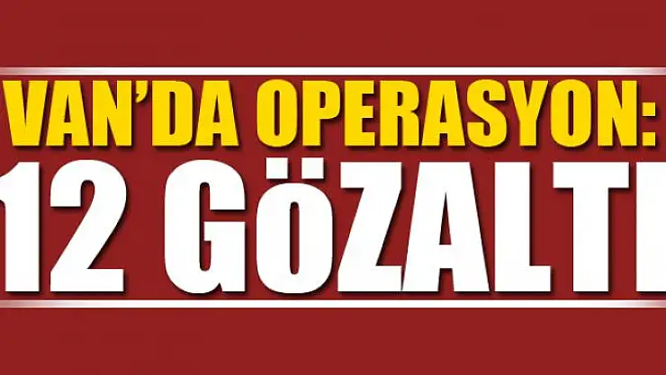 Van'da kaçak sigara operasyonu: 12 gözaltı