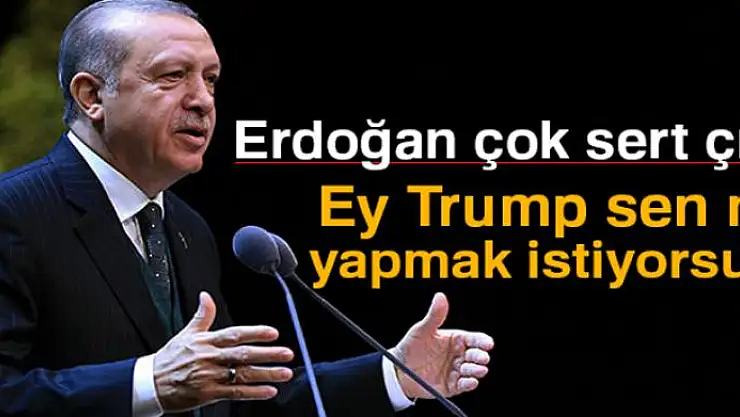 Erdoğan: 'Ey Trump sen ne yapmak istiyorsun?'