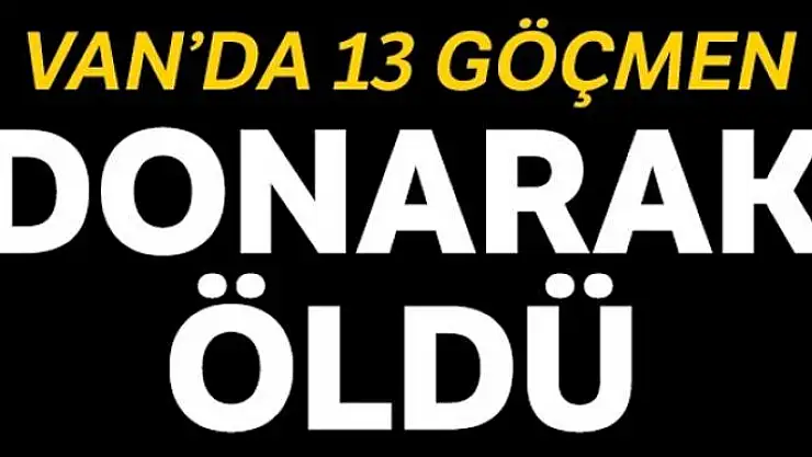 Çaldıran'da 13 düzensiz göçmen donarak öldü
