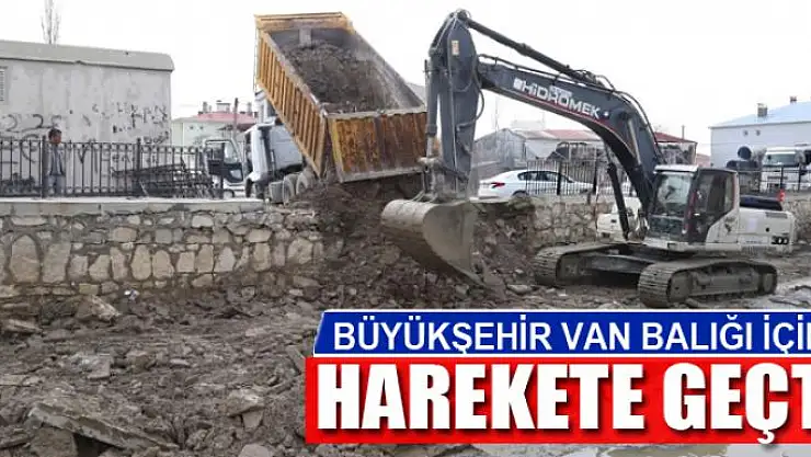 BÜYÜKŞEHİR VAN BALIĞI İÇİN HAREKETE GEÇTİ