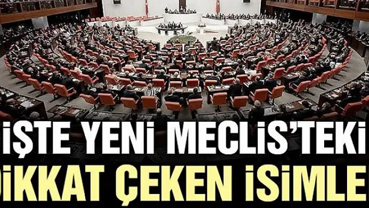 İşte yeni Meclis'te dikkat çeken isimler…