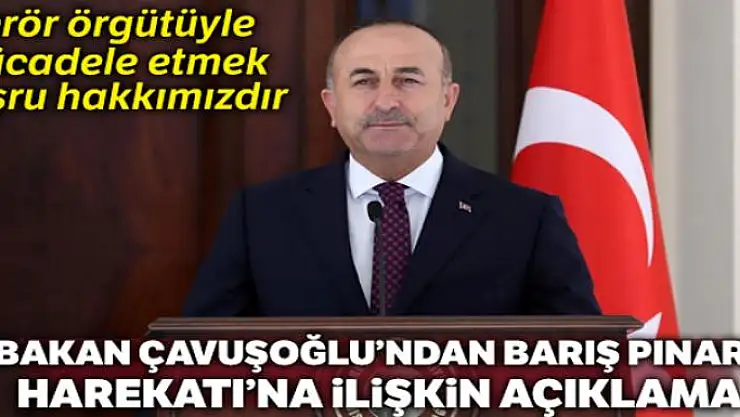 Bakan Çavuşoğlu, 'Terör örgütüyle mücadele etmek meşru hakkımızdır'