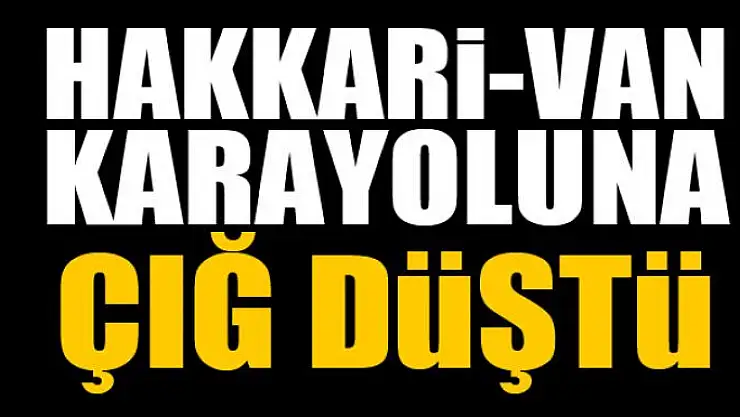 Hakkari-Van karayoluna çığ düştü