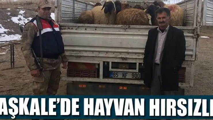 Başkale'de hayvan hırsızlığı 