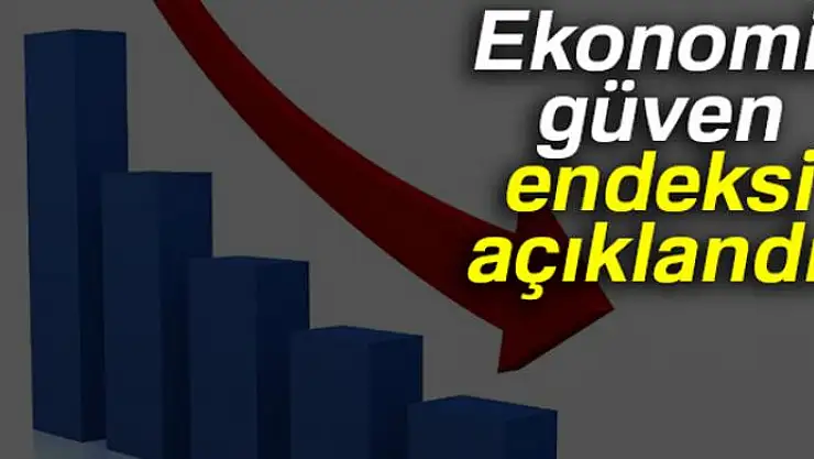 Ekonomik güven endeksi Aralık'ta düştü