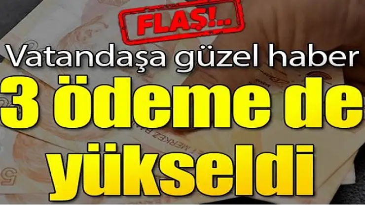 Vatandaşa güzel haber! 3 ödeme de yükseldi