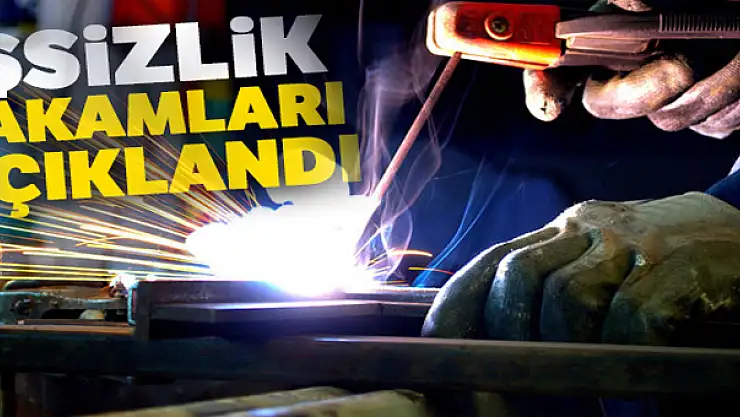 İşsizlik rakamları açıklandı