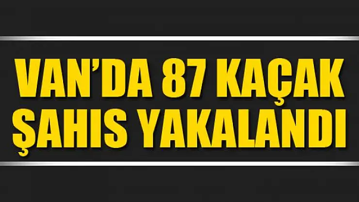 Van'da 87 kaçak şahıs yakalandı