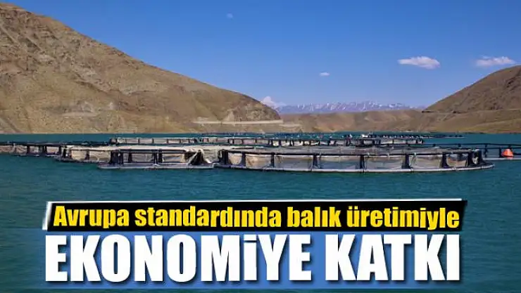 Avrupa standardında balık üretimiyle ekonomiye katkı
