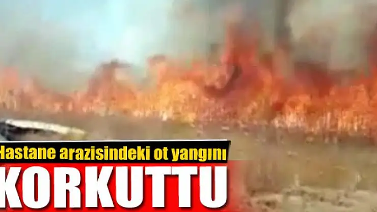 Hastane arazisindeki ot yangını korkuttu