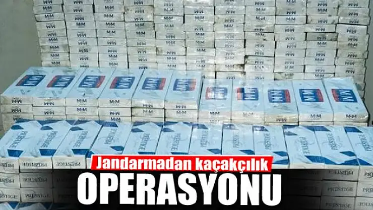 Jandarmadan kaçakçılık operasyonu
