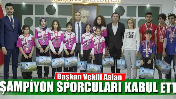 Başkan Vekili Aslan, şampiyon sporcuları kabul etti