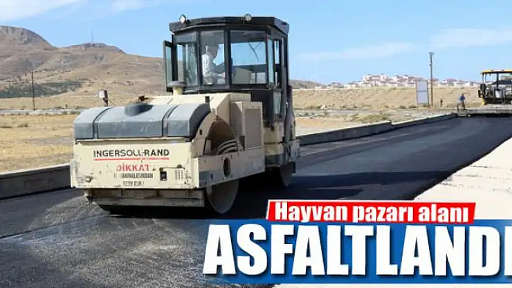 Hayvan pazarı alanı asfaltlandı