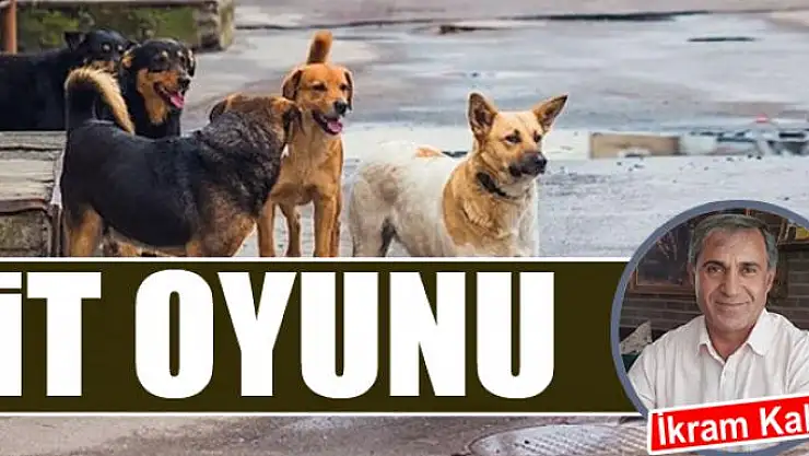 İt Oyunu