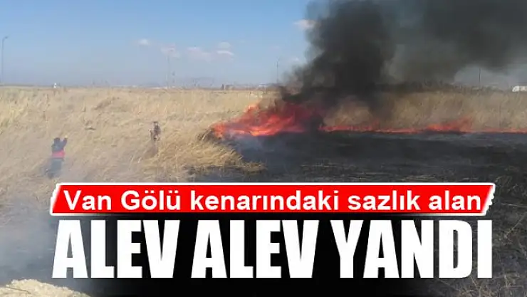 Van Gölü kenarındaki sazlık alan alev alev yandı