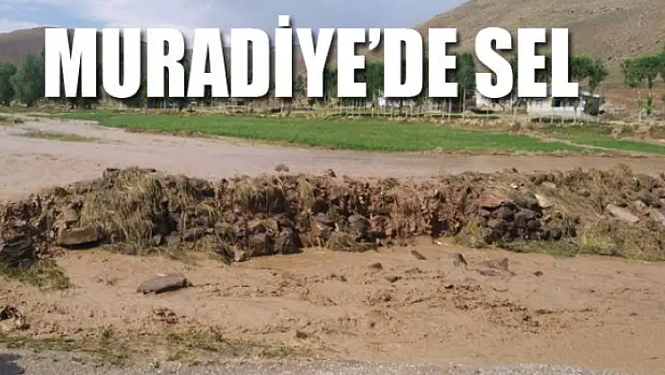 Muradiye'de sel