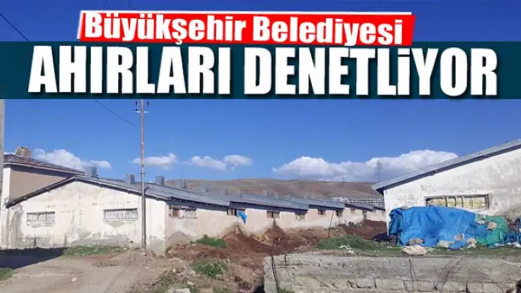 Ahırlar denetleniyor