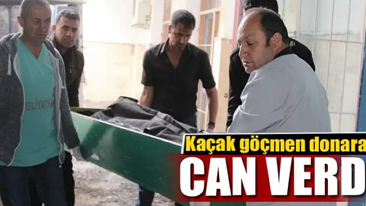 Kaçak göçmen donarak öldü