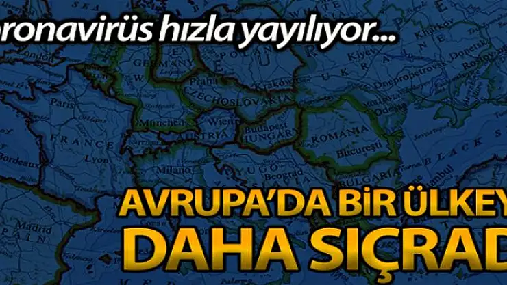 İsviçre'de ilk korona virüsü vakası