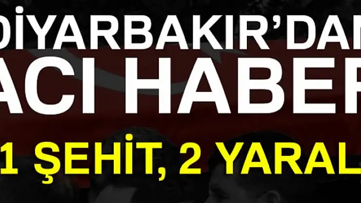 Lice'de çatışma: 1 şehit, 2 yaralı