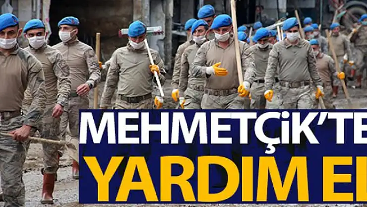 Selin vurduğu Dereli'deki temizlik çalışmasına Trabzon Komando Birliği'nden destek