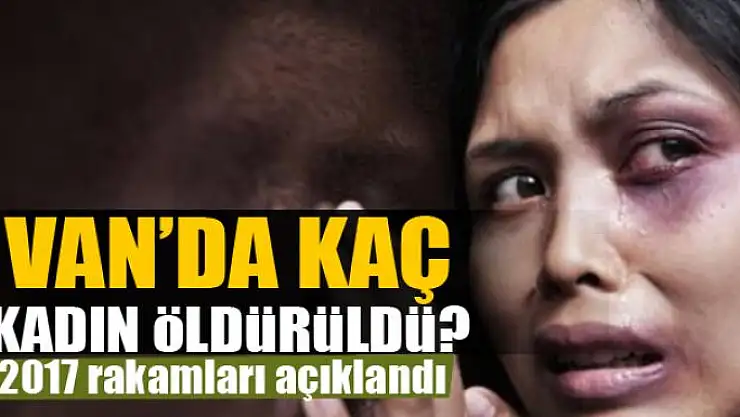 Van'da kaç kadın öldürüldü?