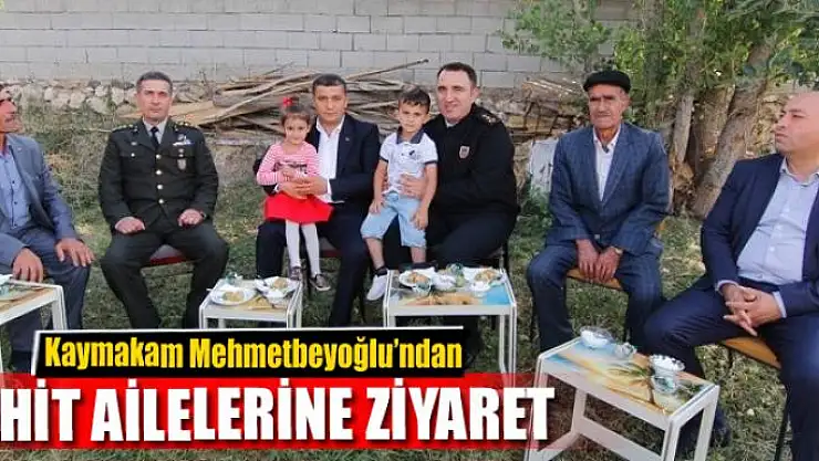 Kaymakam Mehmetbeyoğlu'ndan şehit ailelerine ziyaret