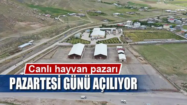 Canlı hayvan pazarı pazartesi günü açılıyor