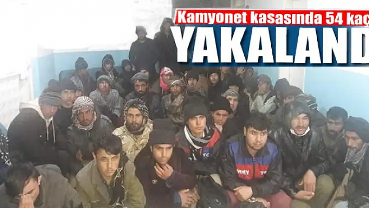 Kamyonet kasasında 54 kaçak yakalandı