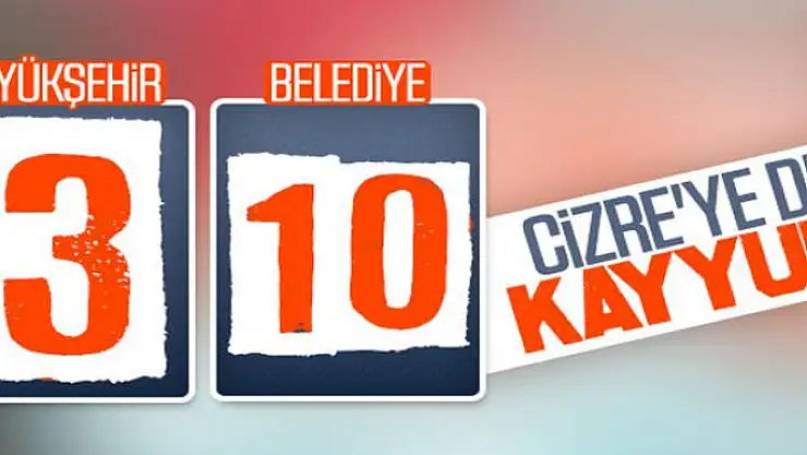 Cizre Belediyesi'ne kayyum atandı