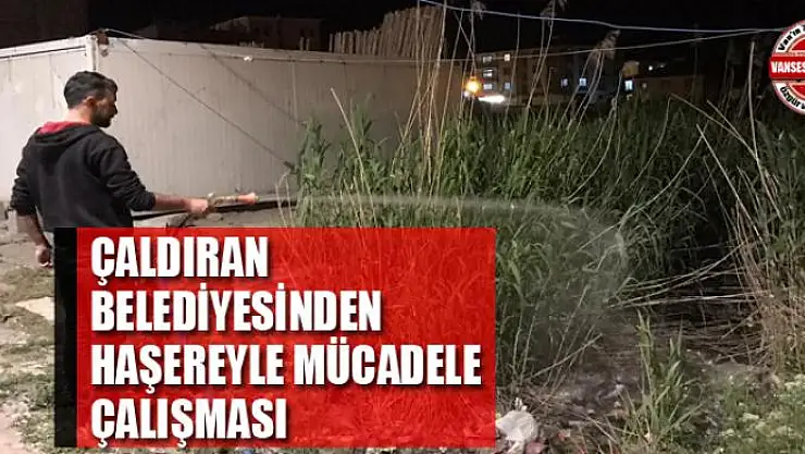 Çaldıran Belediyesinden haşereyle mücadele çalışması