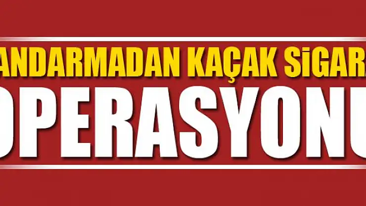 Jandarmadan kaçak sigara operasyonu