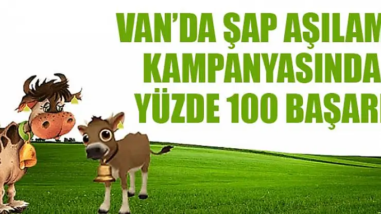 VAN'DA ŞAP AŞILAMA KAMPANYASINDA YÜZDE 100 BAŞARI