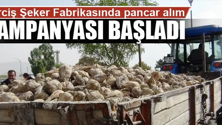 Erciş Şeker Fabrikasında pancar alım kampanyası