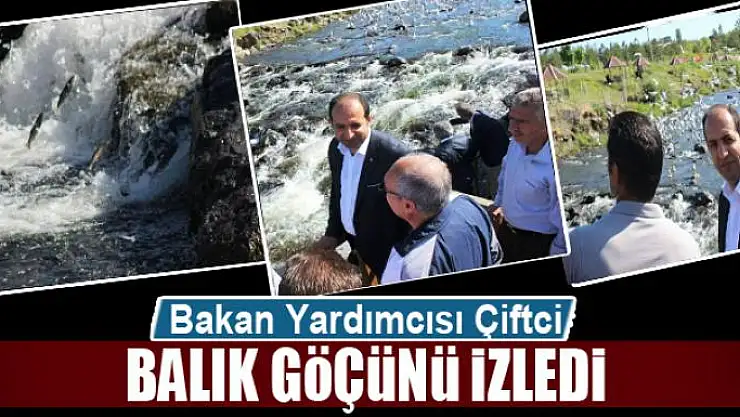 Bakan Yardımcısı Çiftci balık göçünü izledi