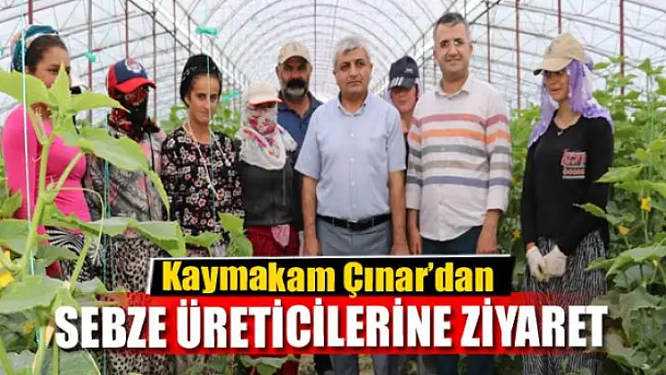 Kaymakam Çınar'dan sebze üreticilerine ziyaret