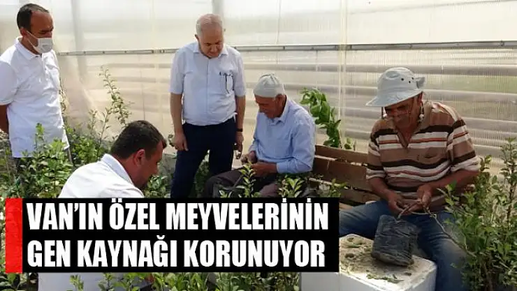 Van'ın özel meyvelerinin gen kaynağı korunuyor
